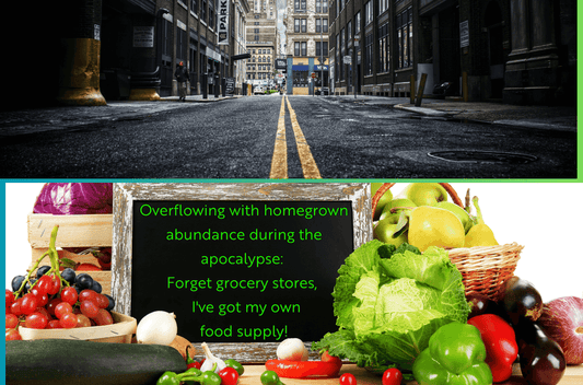 A picture of an empty street in a post-apocalyptic setting and a table with a variety of fruits and vegetables