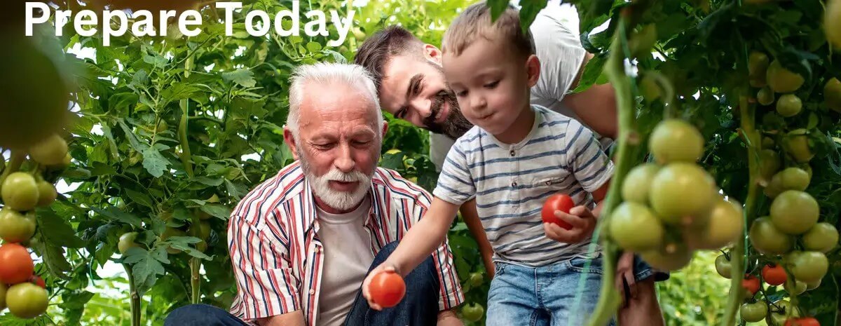 Grandfather, son, and grandson enjoy harvesting vegetables together.