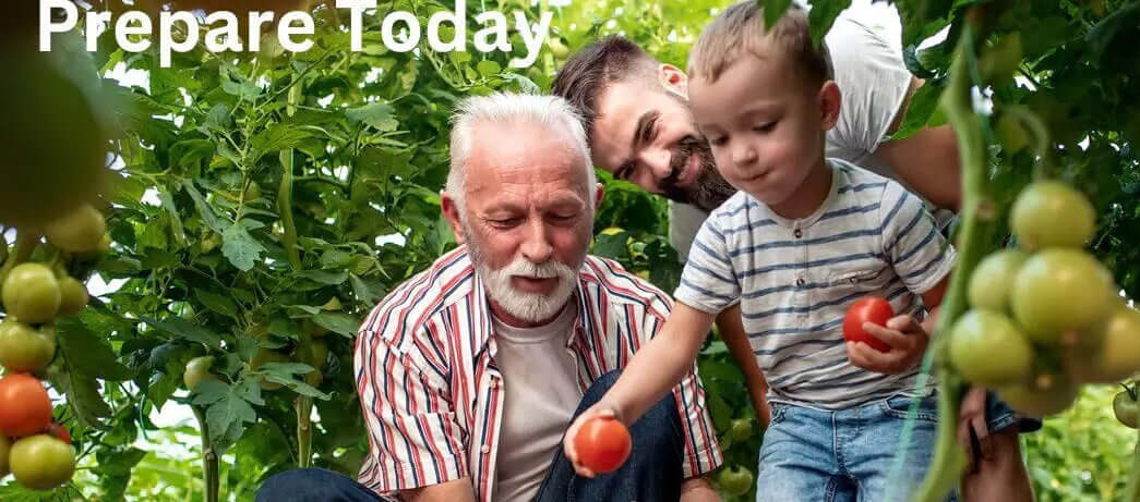 Grandfather, son, and grandson enjoy harvesting vegetables together.