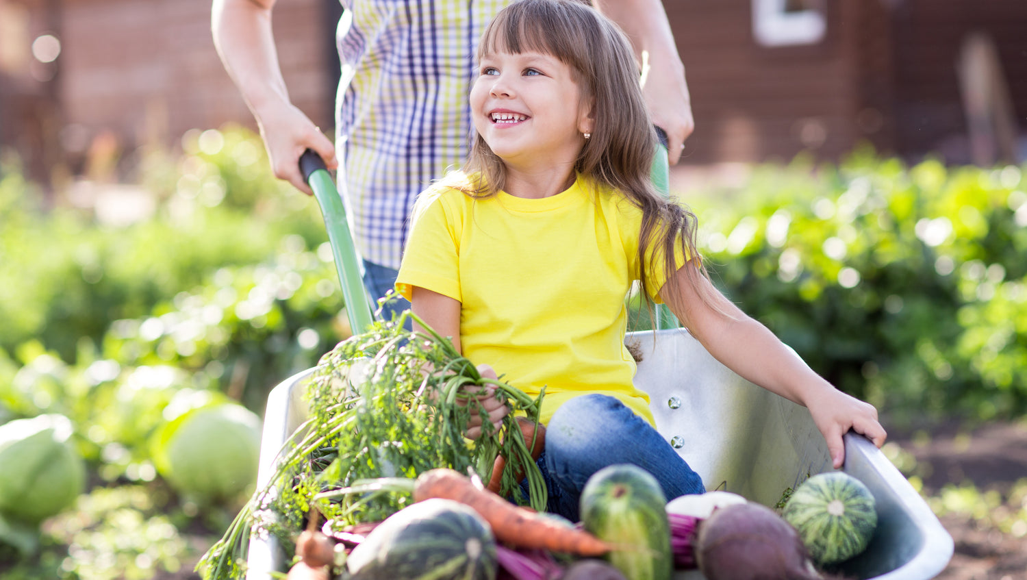 little girl at wheelbarrow