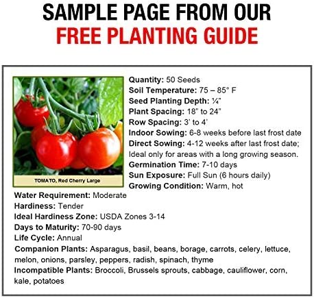 Image displaying a sample page from our free planting guide, featuring helpful information and illustrations to assist gardeners in planning and executing successful planting activities, promoting education and support for gardening enthusiasts