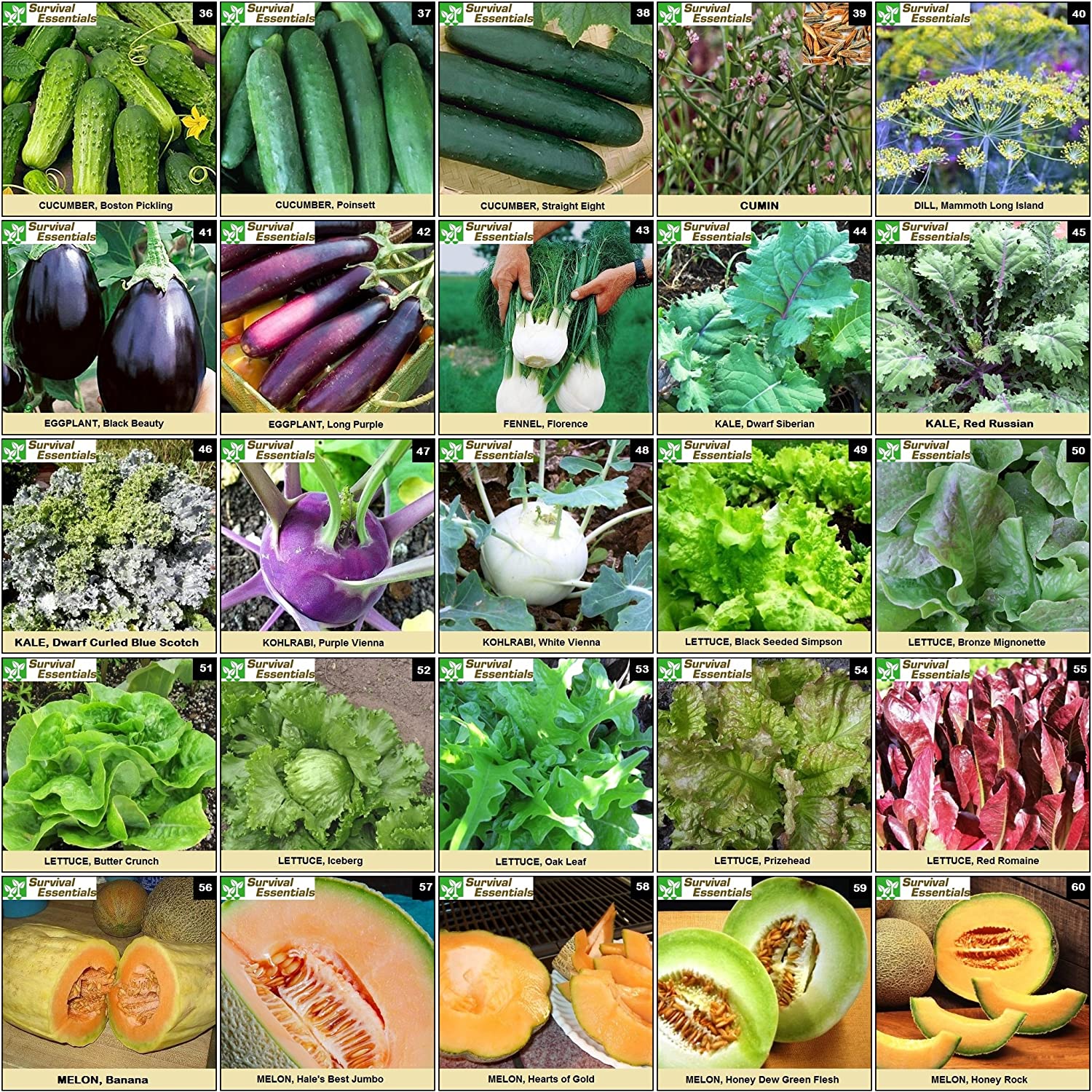 Image displaying a variety of vegetables arranged alphabetically from C to M, showcasing a diverse selection of produce