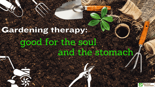 Gardening tools arranged on soil