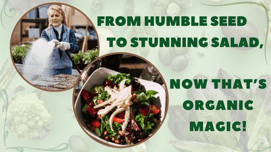 A woman nurturing organic plants while a plate overflows with fresh organic salad