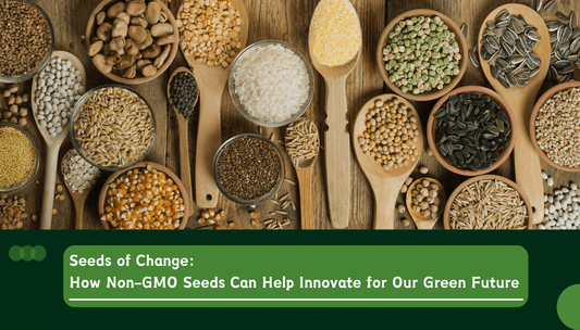 non-GMO seeds for a green future
