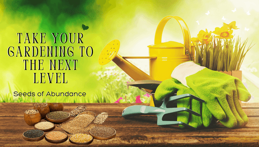 Take Your Gardening to the Next Level Seeds of Abundance