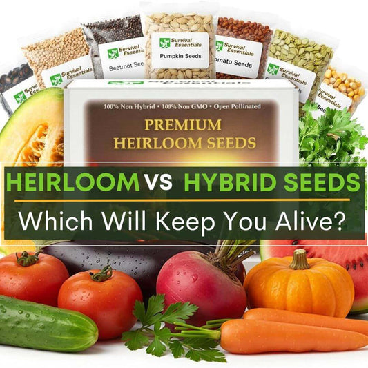 Survival Seeds Heirloom vs Hybrid Seeds, Which will keep you alive?