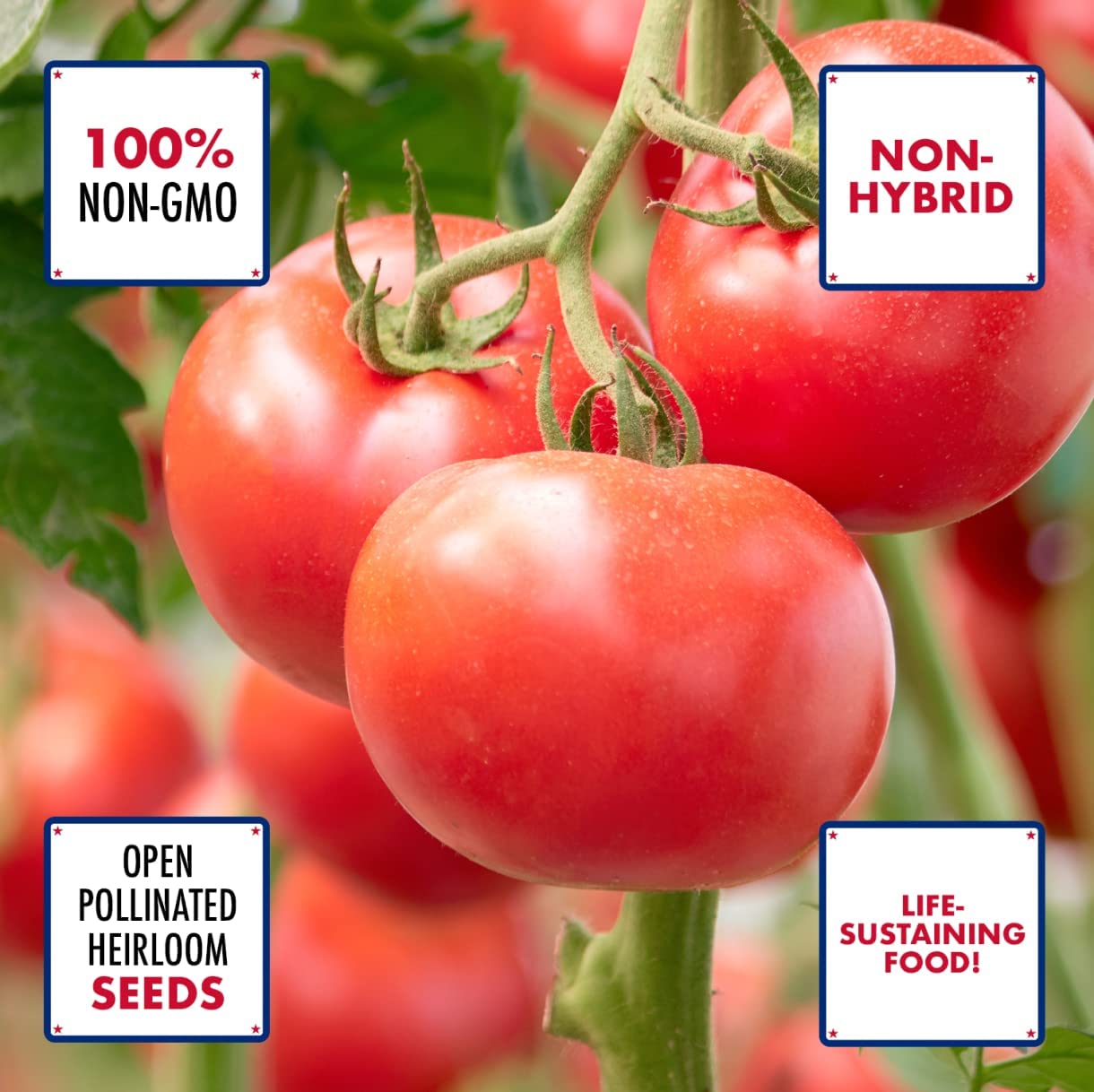 Close-up image of a vibrant tomato with text overlay emphasizing its qualities: non-hybrid, 1000% non-GMO, open-pollinated, and described as a life-sustaining food source, highlighting its purity, naturalness, and nutritional value.
